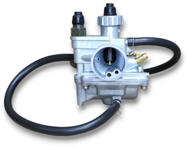 PAANJO Carburetor Assembly for TVS Jupiter, Wego BS3 Old Model