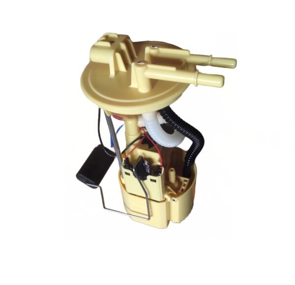 High-Quality Paanjo Fuel Pump Assembly for Tata Ace Mega